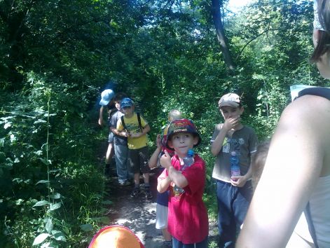 201007081723.jpg