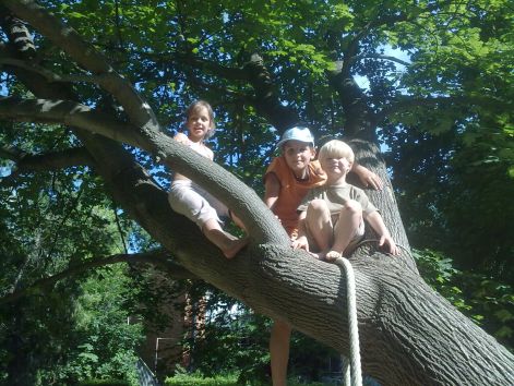 201007091771.jpg